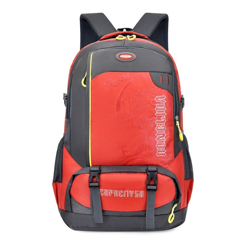 sac a dos 40L voyage