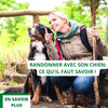 randonner-avec-son-chien