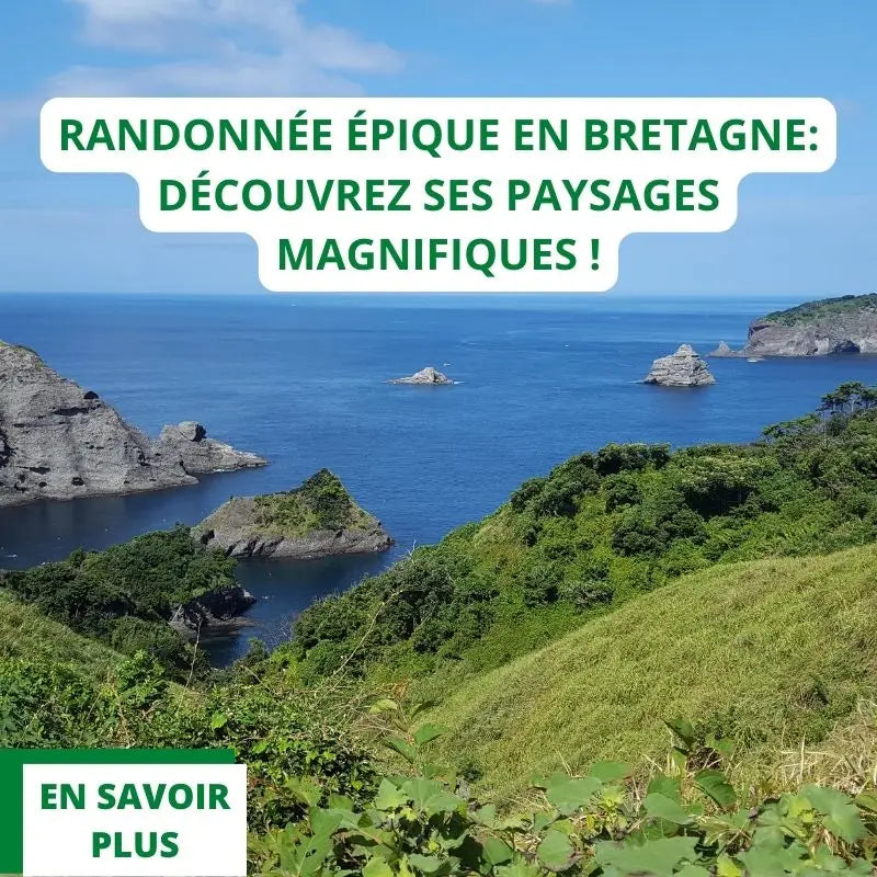 bretagne-randonnee-circuit-st-malo-falaises