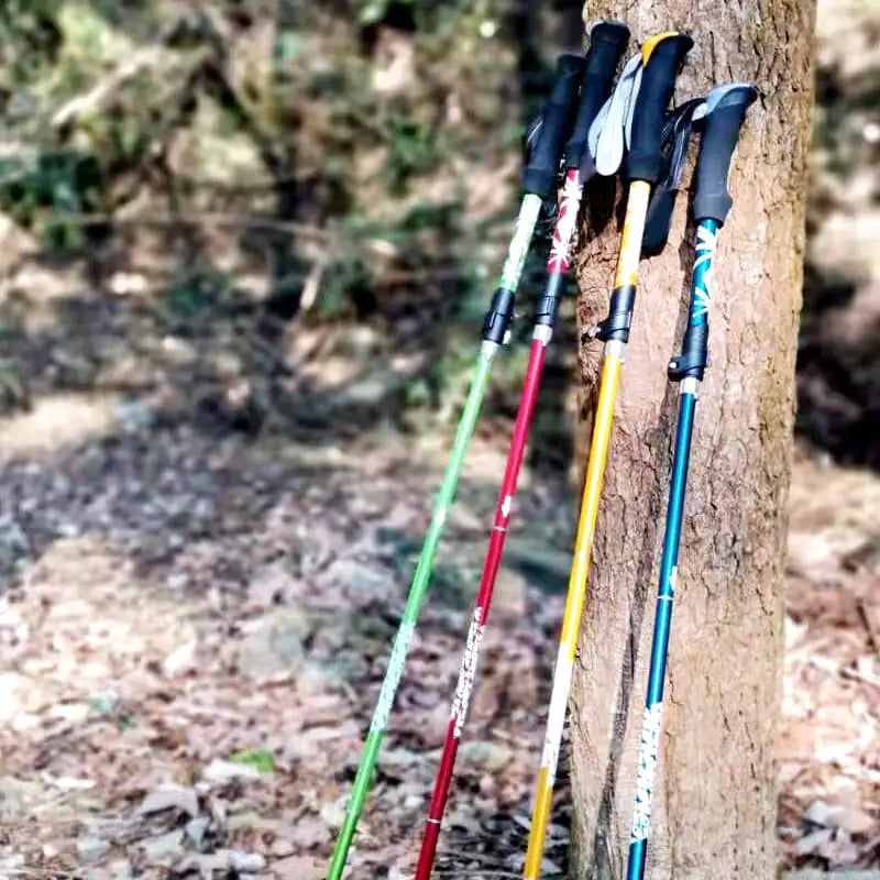 baton de randonnée