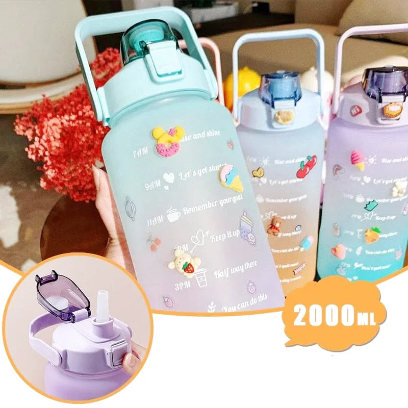 gourde avec stickers